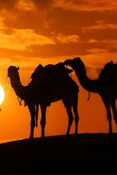 Overnight Camel Trek in Merzouga