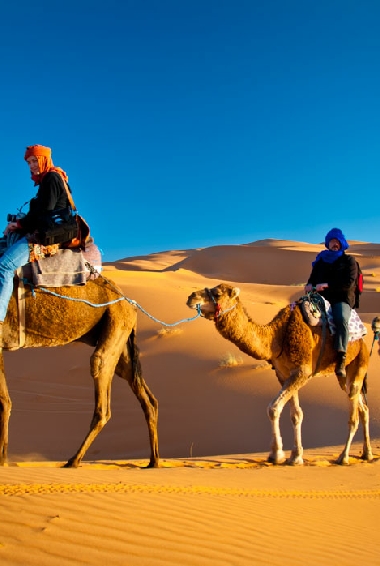 Camel Trek in Merzouga
