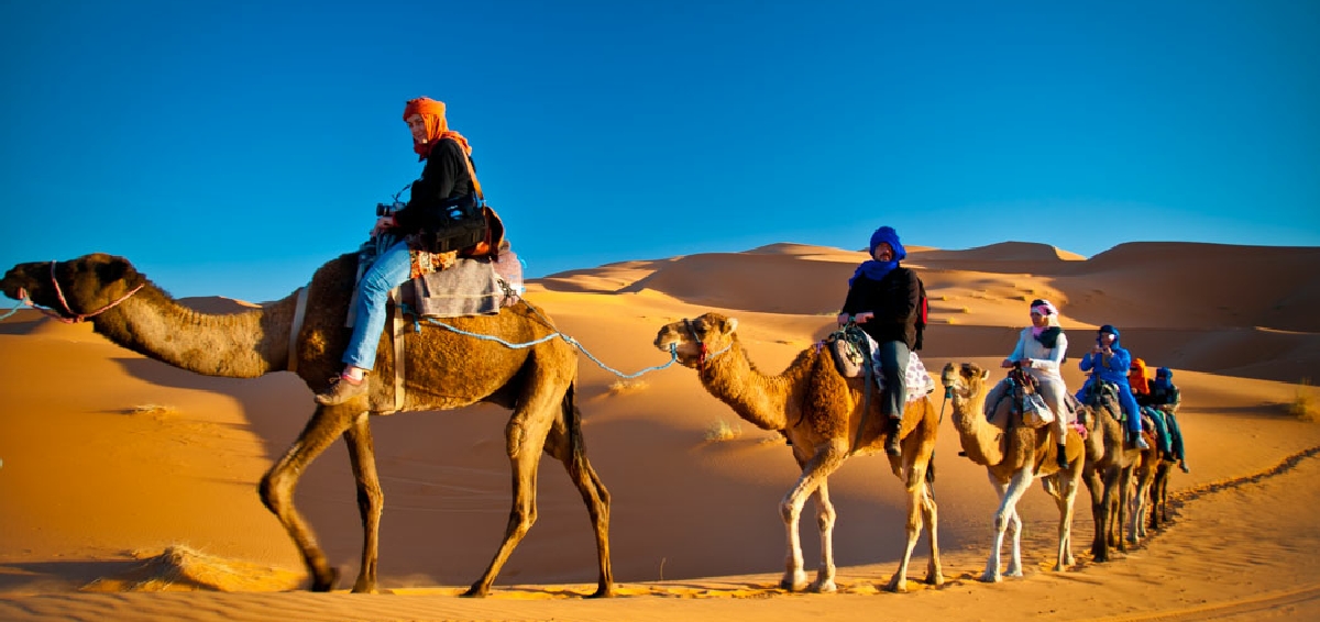 Camel Trek in Merzouga